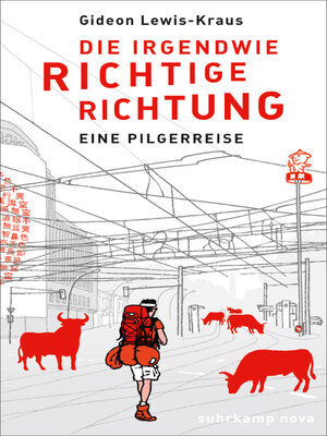 cover image of Die irgendwie richtige Richtung